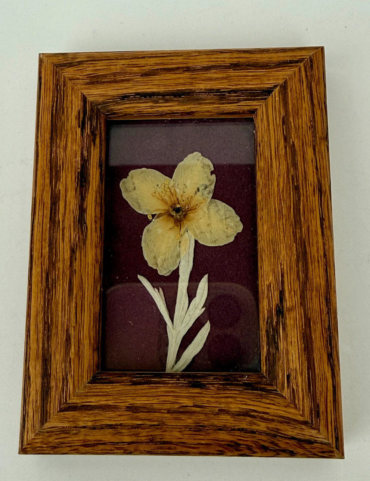 2 Vintage 1997 framed pressed wildflowers Floral Botanical Artisan Good
