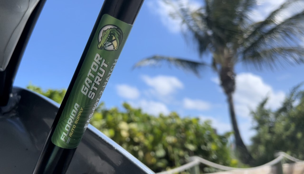 Two Trunk Lift Supports FAS-678 For Lexus Sedans: 2006-2015 IS250, IS350, IS F