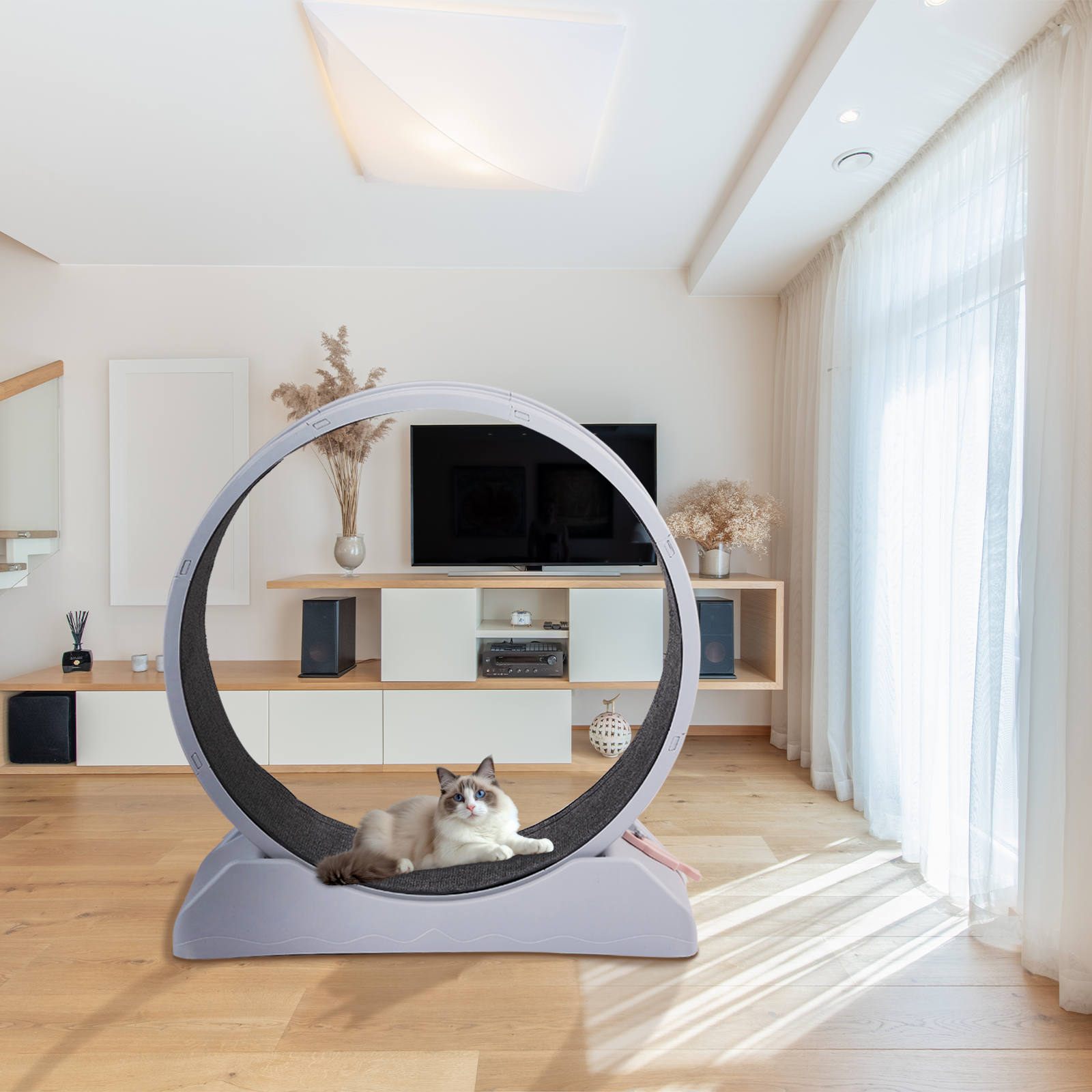 Cat Exercise Wheel Large Cat Treadmill Running Wheel for Indoor Cats 34.7 inch