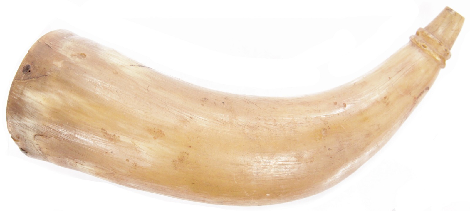 Antique 19th Century American Translucent Cow Horn Powder Horn Flask Old