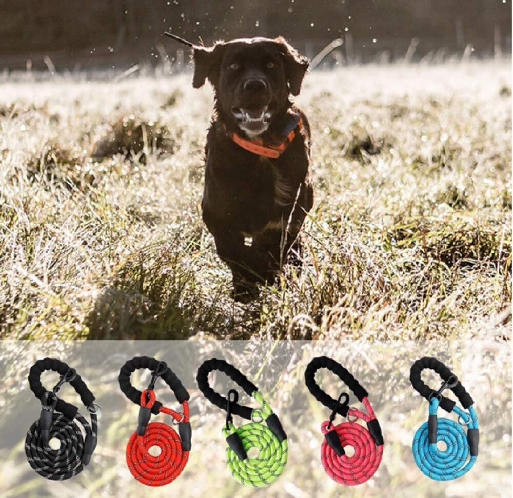 5 FT Dog Rope Leash - Reflective Nylon Lead, Training Padded Handle for Puppies