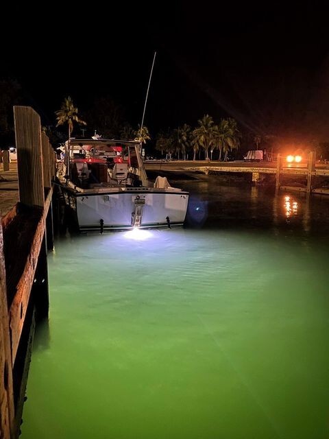RGB ANY COLOR V2 TRANSOM MOUNTED 8000 LUMENS UNDERWATER BOAT LED LIGHT DIABLO