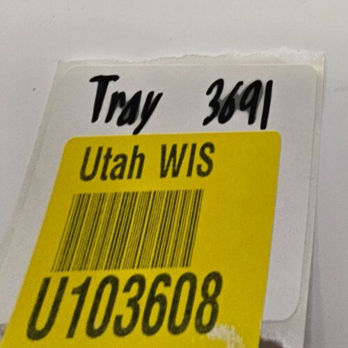 ( QTY 25 ) Ansul Fuse Link 439089 K/SL Style Fusible Links 450° Green