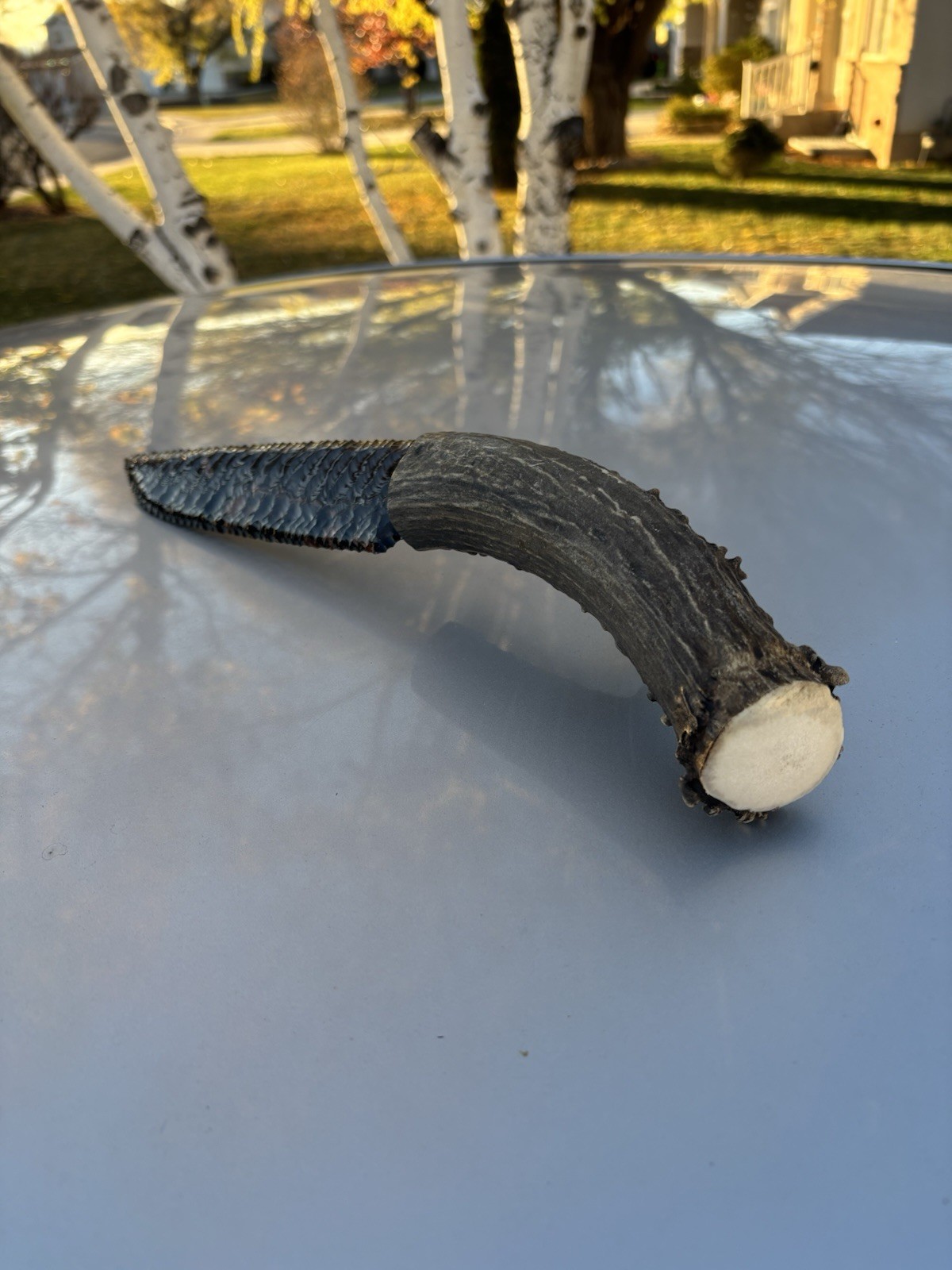 Huge Dragon Glass Obsidian Mule Deer Antler Display Knife Made By Grady Bowen