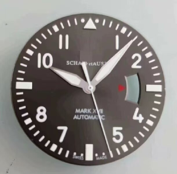 40MM Stainless Steel Watch Case With Band Kit for Mark17 2824