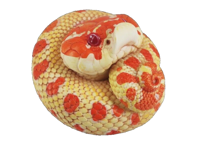 【In-Stock】 Animal Heavenly Body Extreme Red Hognose Collectible Snake Statue
