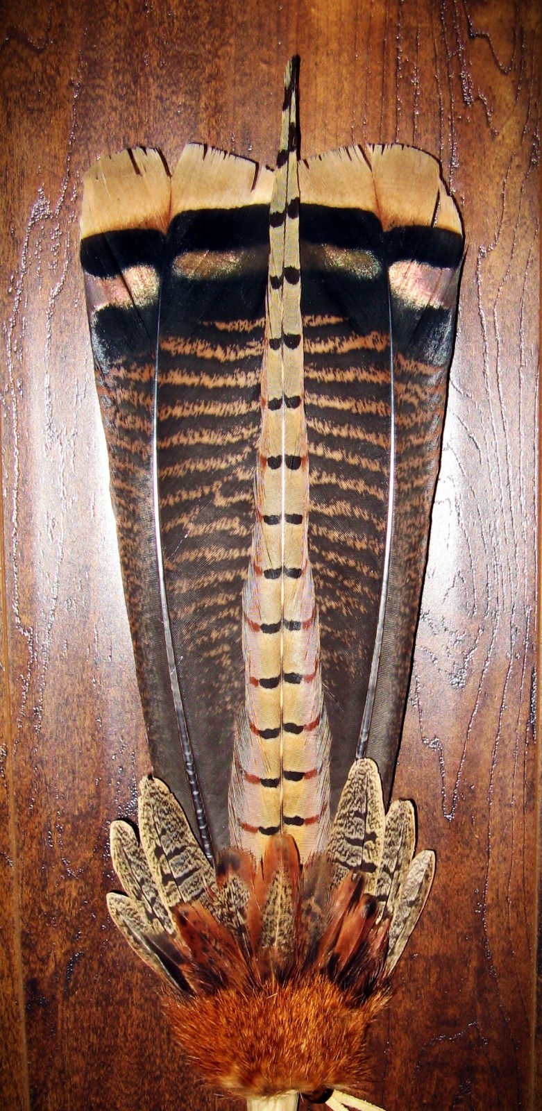 TURKEY TAIL NATIVE AMERICAN SMUDGE FEATHER FANS ANTLER 18"