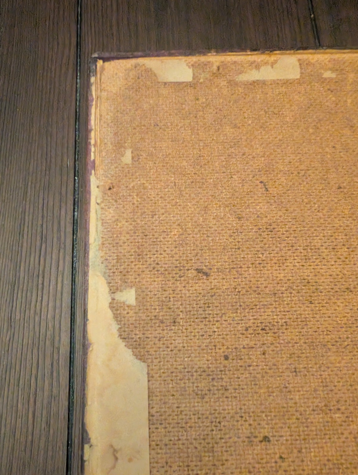 Vintage Chinese Mother Of Pearl Shell Porcelain Landscape 3D Painting Wood Frame