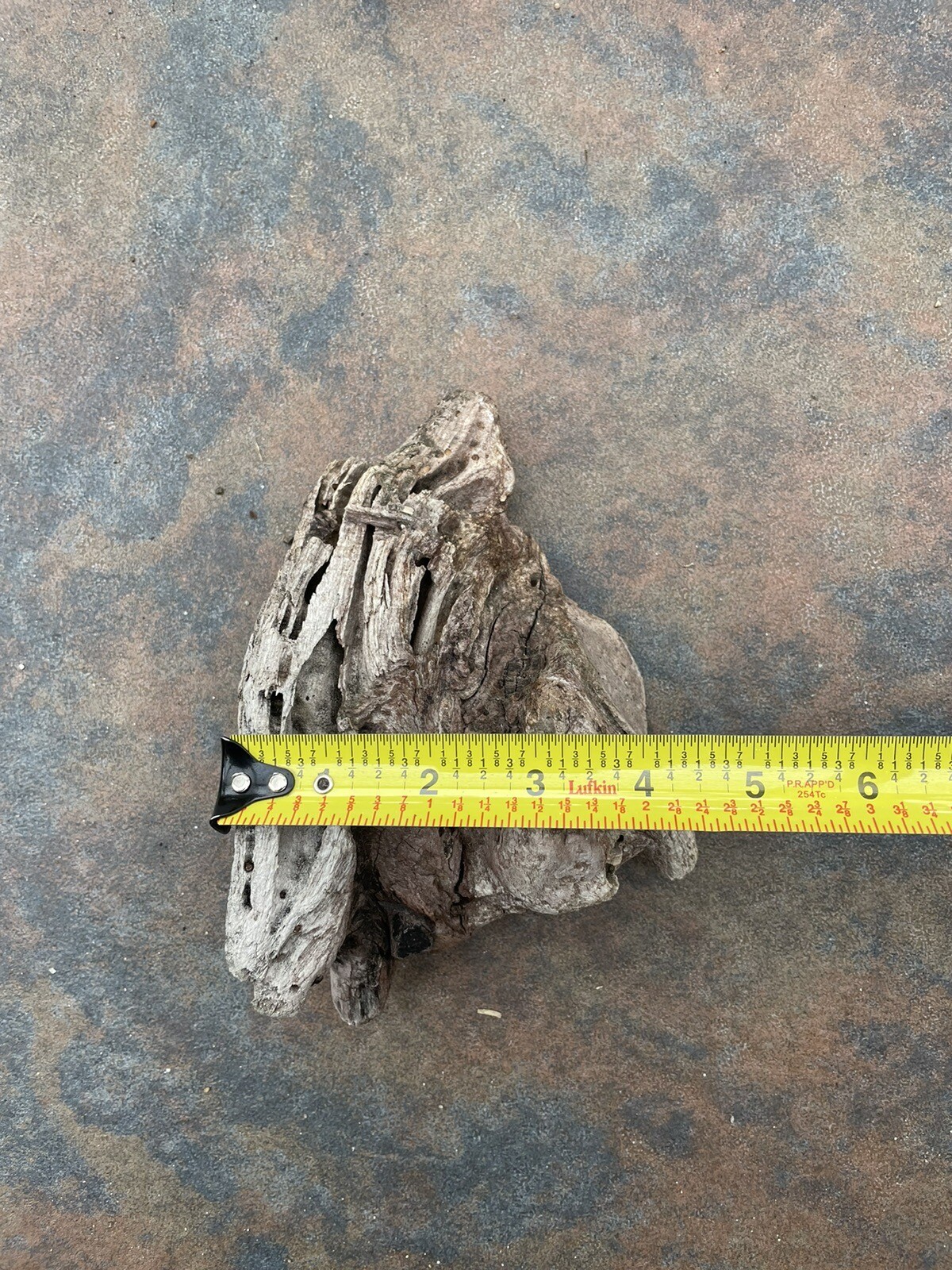 Natural Driftwood for Plants Terrarium Taxidermy Art Projects