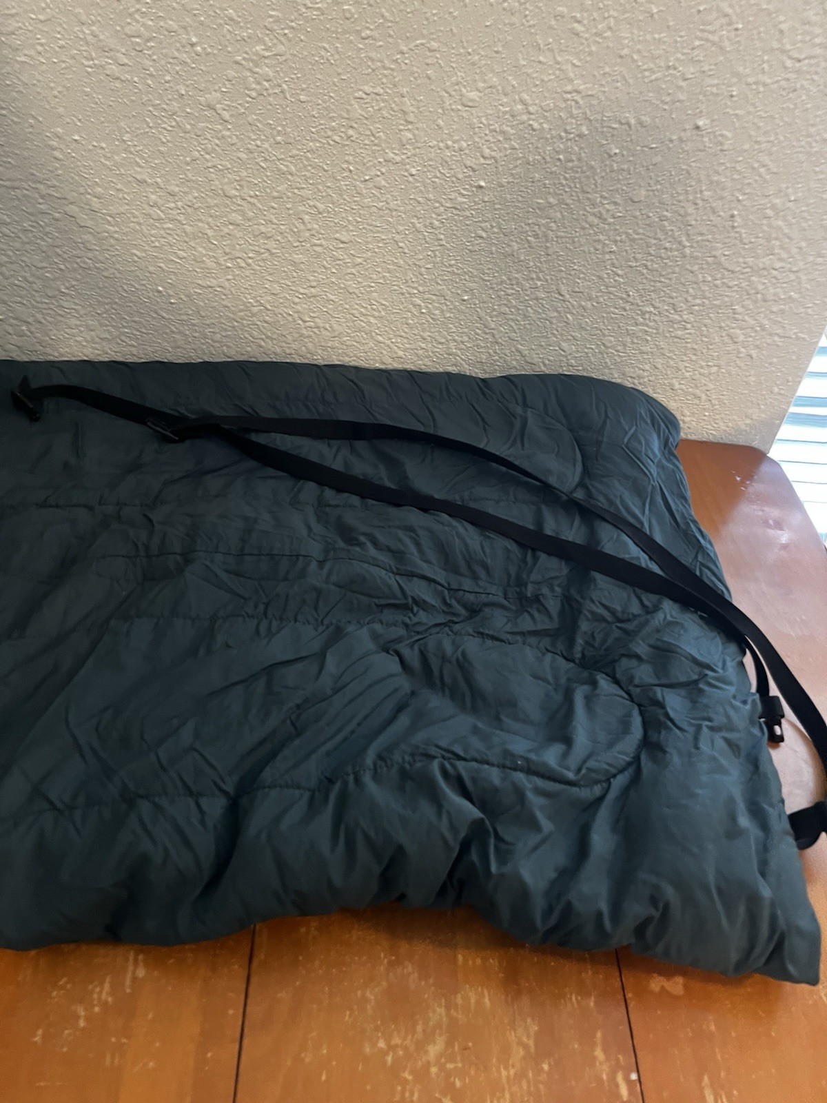 LL Bean 20° Camp Bag Sleeping Bag Green Gray Camping Sleeping With Container