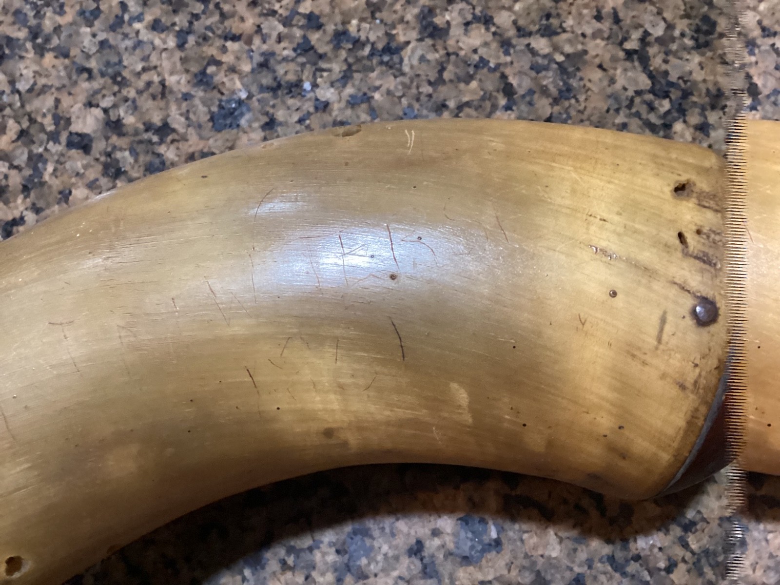 Large 18” Antique Powder Horn Engraved 1st New Jersey 1861