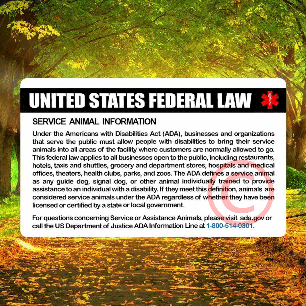 SERVICE DOG ID CARD FOR SERVICE ANIMAL PROFESSIONAL RATED 10