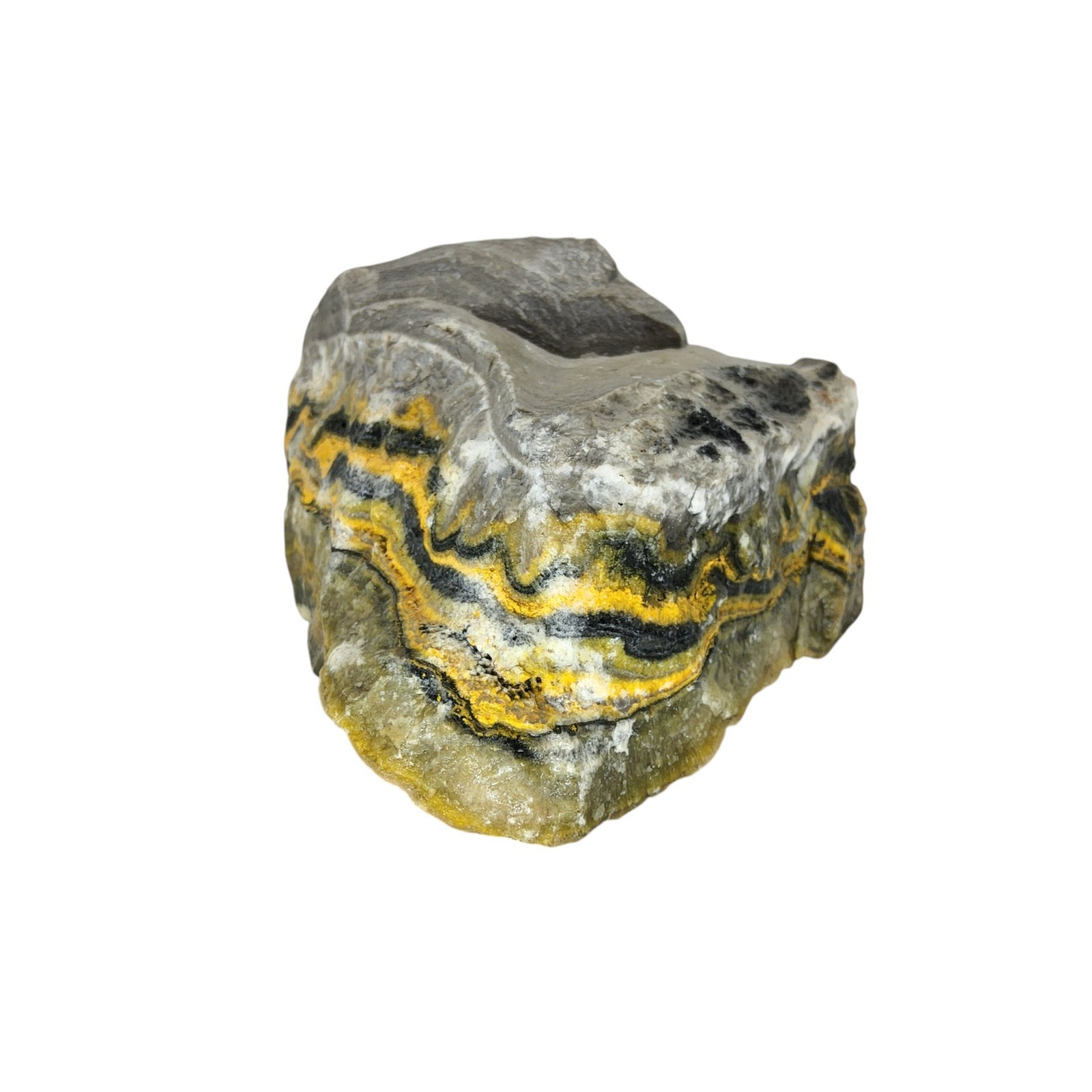 Bumblebee Jasper, 1.25 lbs, cabbing rough, #R-6999