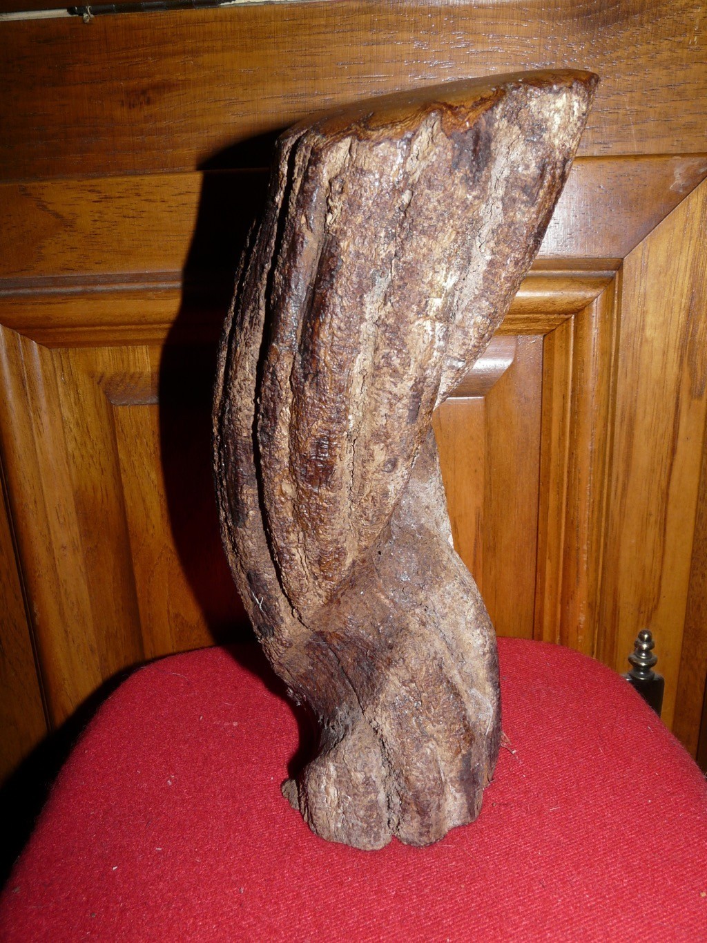 PERU AMAZON AYA. VINE 3X9 INCHES CARVING