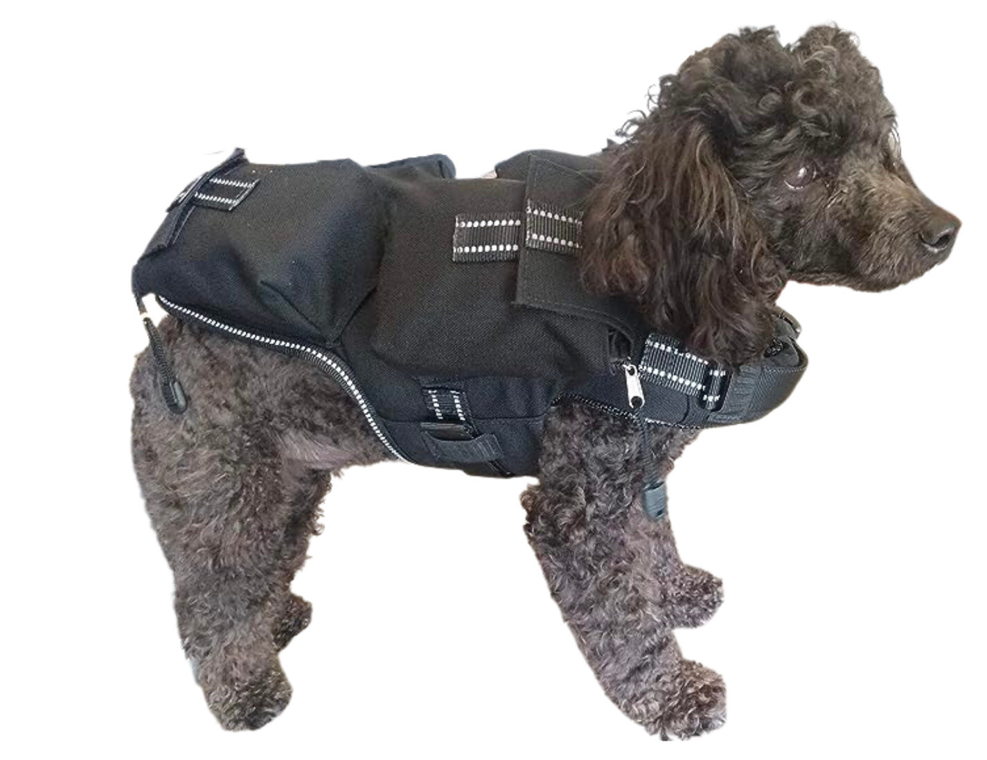 Size Small - CANINE WEIGHT SET® 5 in 1 Weighted Dog Vest - Enhance Performance