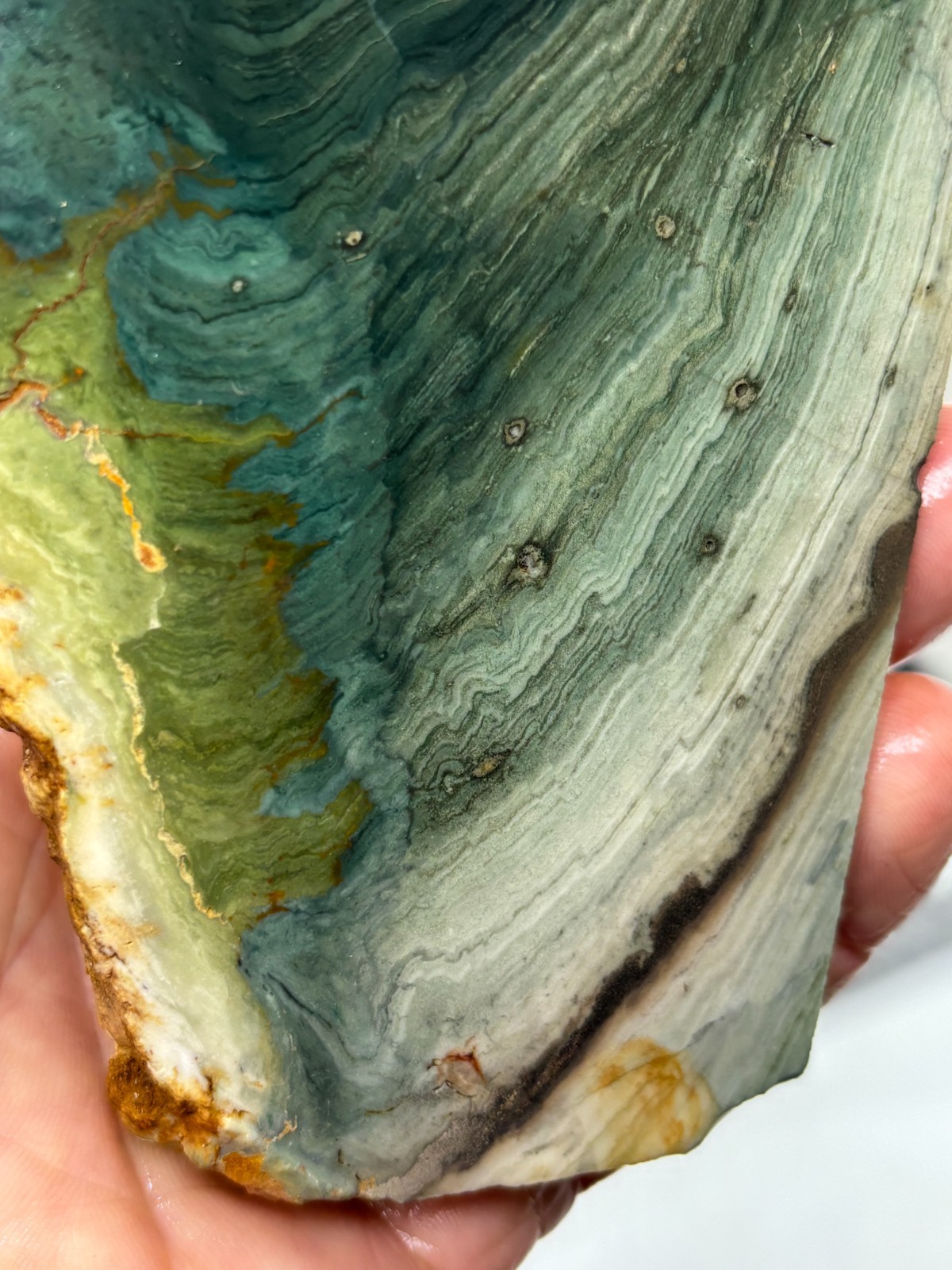 Gary Green Caldera Freedom Jasper Slab Cabbing Lapidary Combo Ship Avail