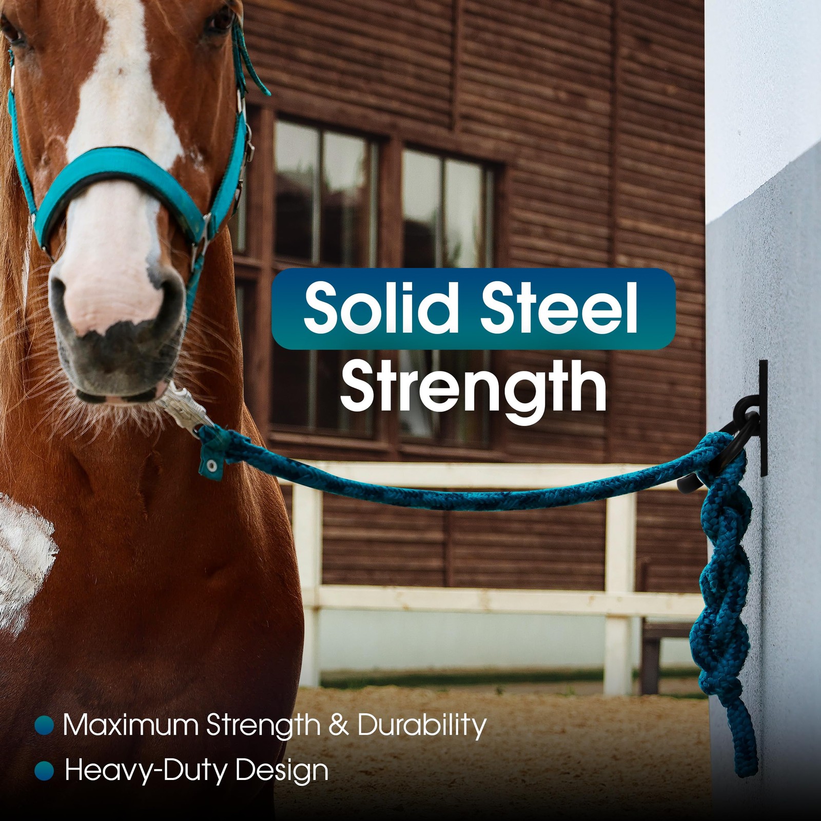 Sunset Valley Metalcraft Horse Tie Ring - 2-3/8" inches Heavy-Duty Black