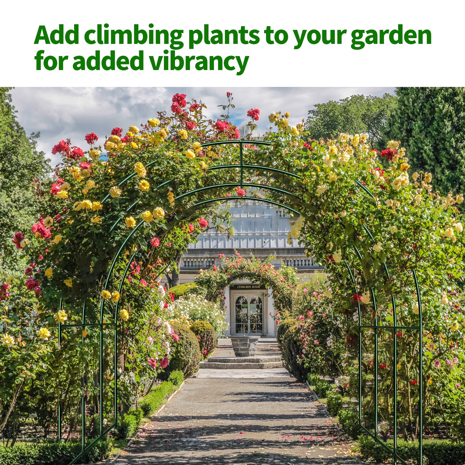 Large Size Steel Garden Arch Rose Arbor Climbing Plant Grape Support Frame Yard