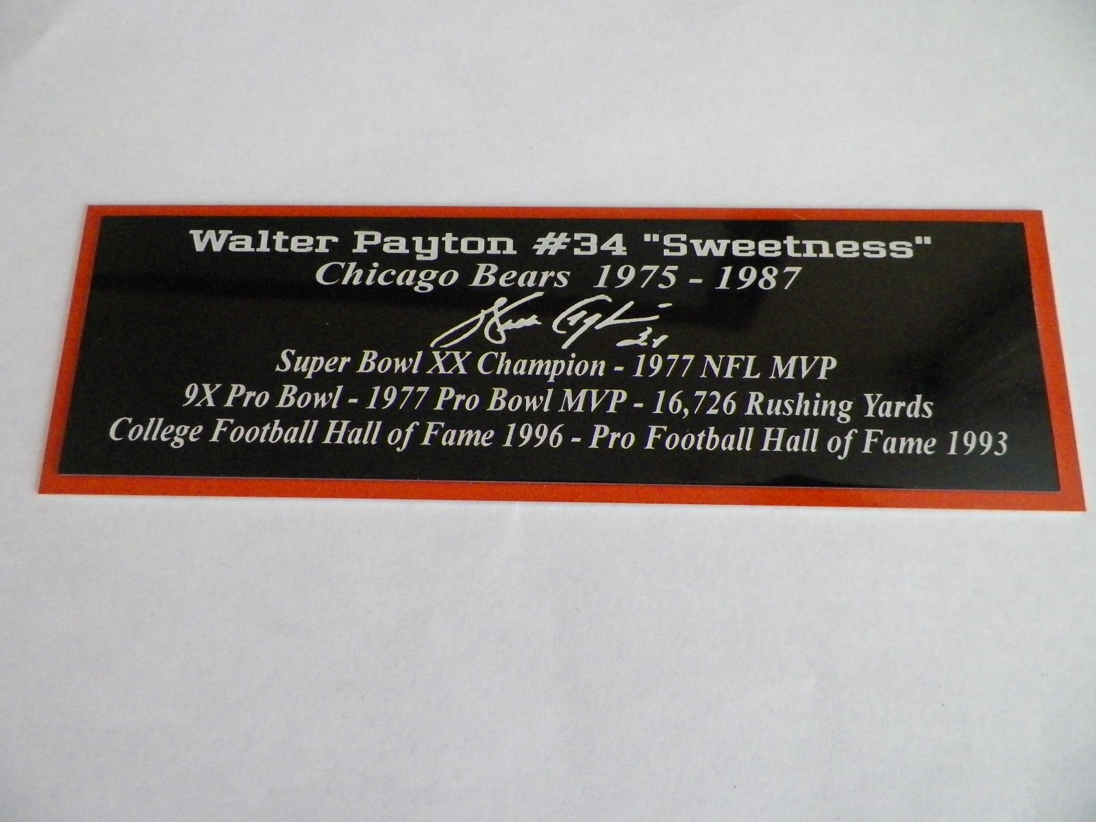 Larry Bird Nameplate Boston Celtics Autograph Photo Basketball Jersey