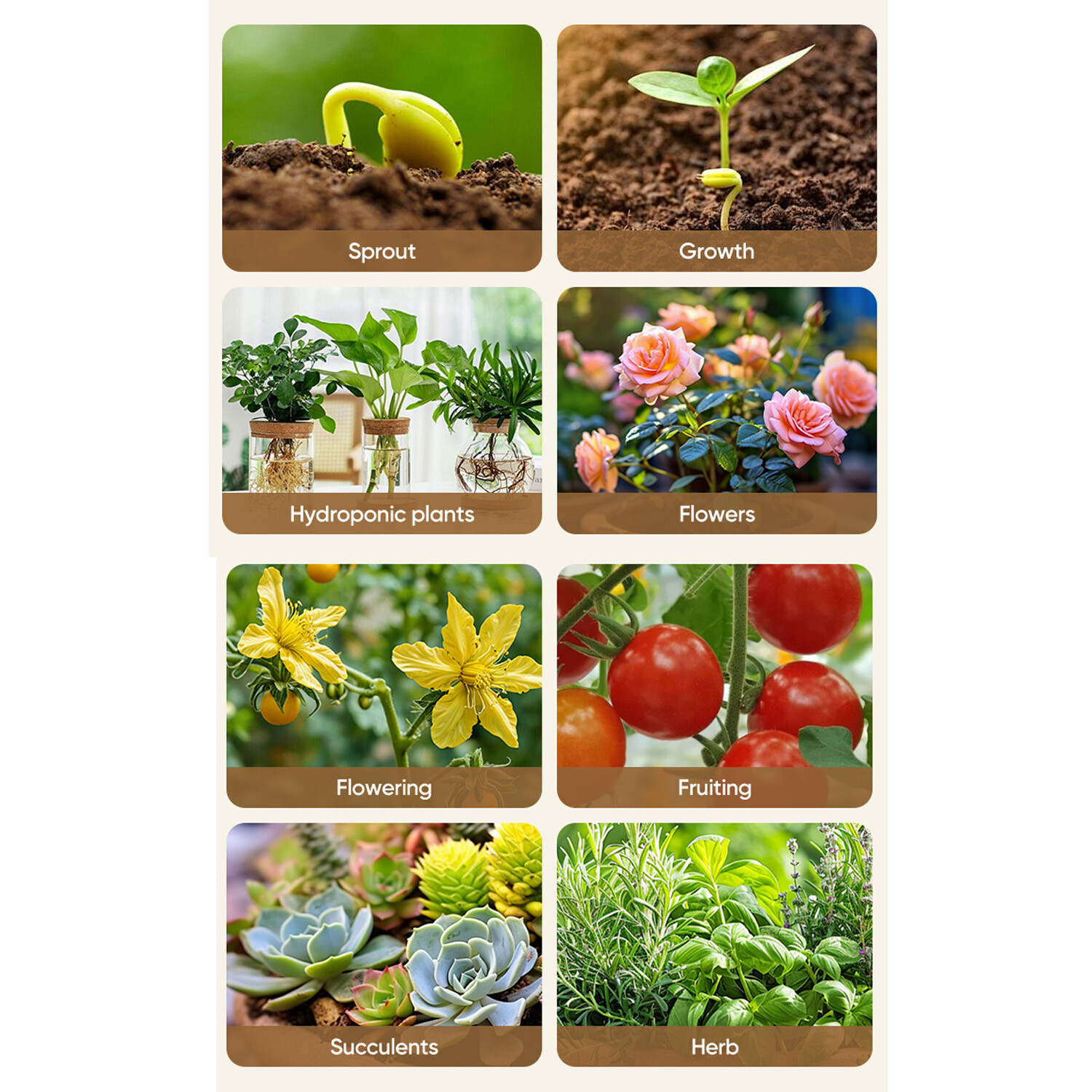 11 Tiers Plant Stand Holder Shelf with Grow Lights Tall Plant Display Rack Metal