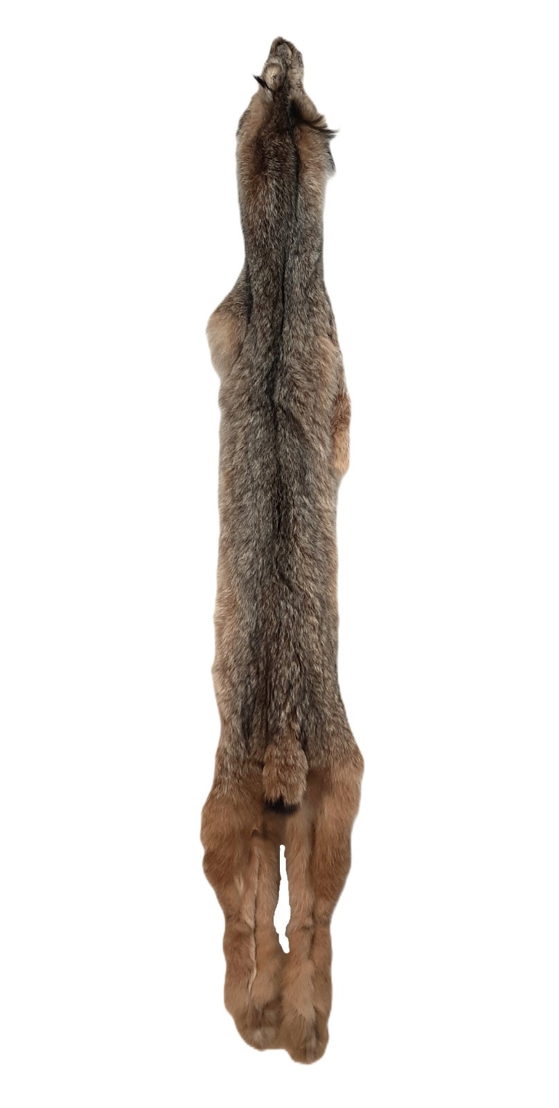 Lynx Pelt, VERY PLUSH & INCREDIBLY SOFT