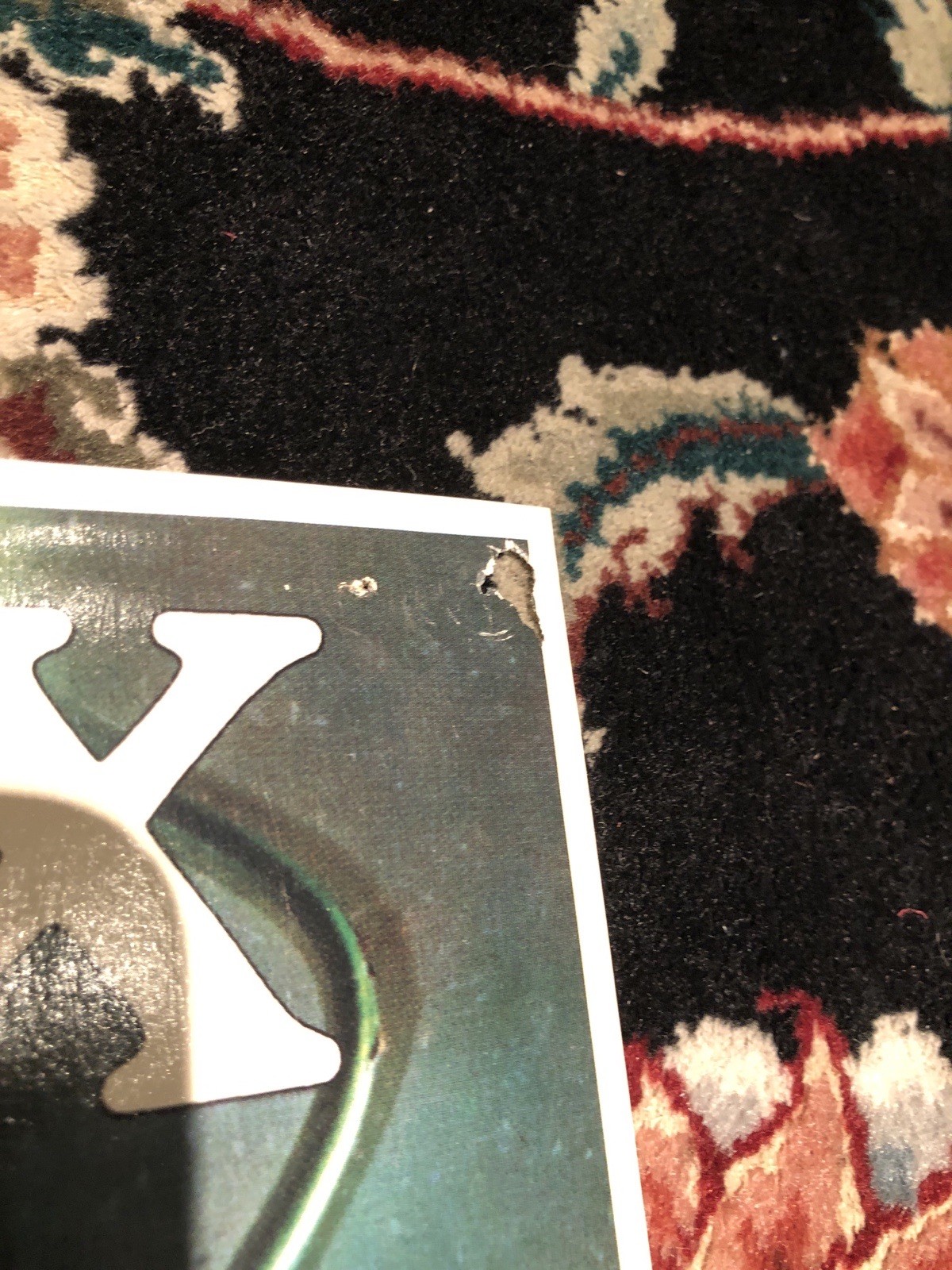 Jimi Hendrix - Presented by Lippmann + Rau - German Concert Poster Litho NICE!