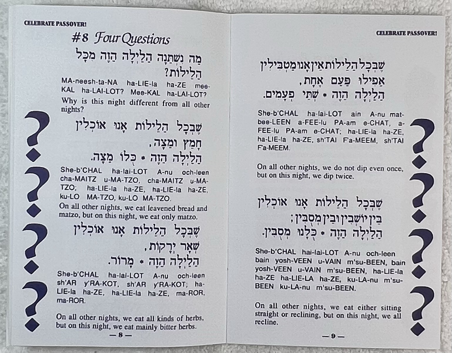 A Family Seder in 20 EASY Steps! Haggadah f/ Passover in a modern way-Lot of 10