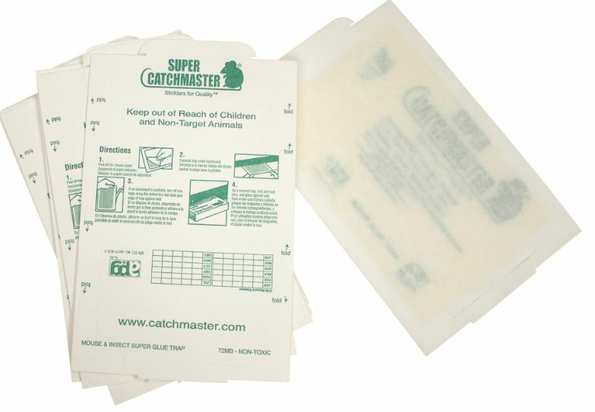 Catchmaster 72MB 10 Pack