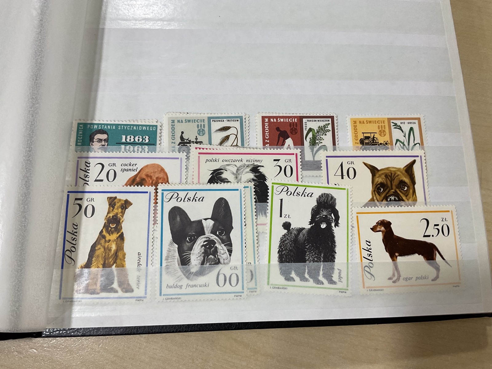 Poland stamps. Mostly mint. stock book. G/40