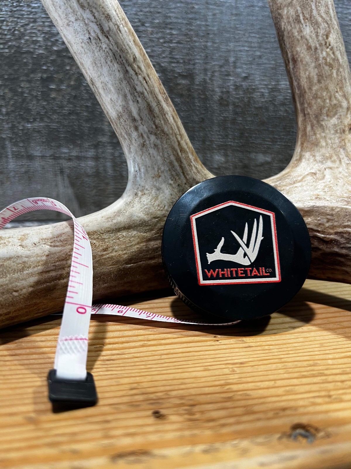 Whitetail Co. Whitetail, Elk and Antelope Antler Score Kit