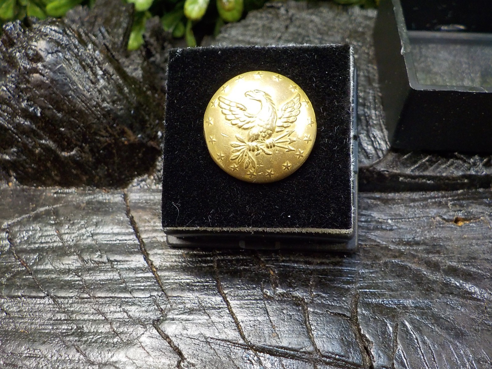 Old Rare Vintage Antique Relic Pre Civil War Militia Officers Coat Button w/Gold