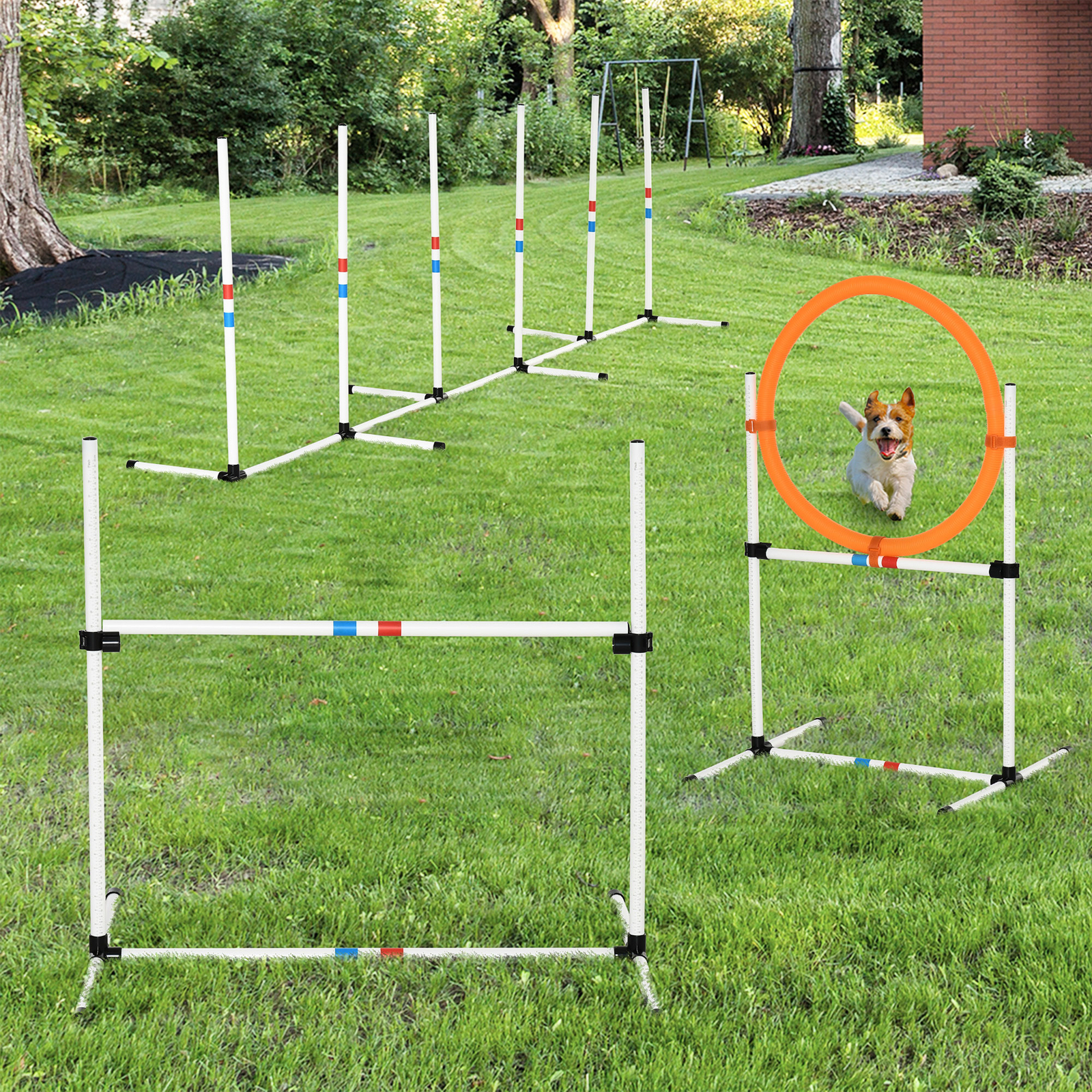 Outdoor 3 Piece Dog Pet Agility Training Equipment Backyard Starter Course Set