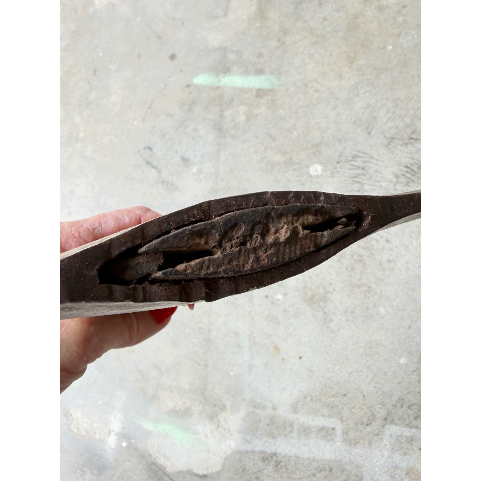 Vintage Double Bit Axe Head on Handle 1940s-60s Logging Tool Needs Re-Wedge