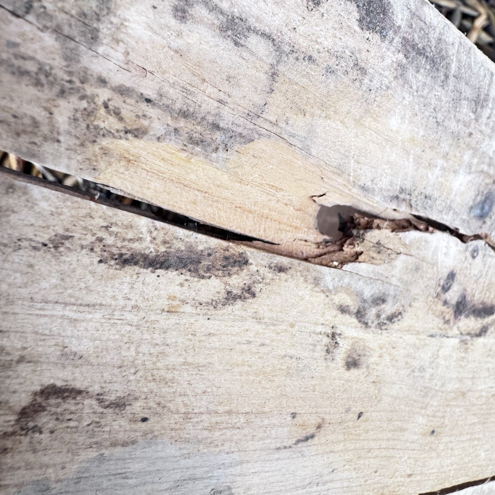 Vintage Hercules Powder Co. Blasting Caps Wood Crate Mining High Explosives Box