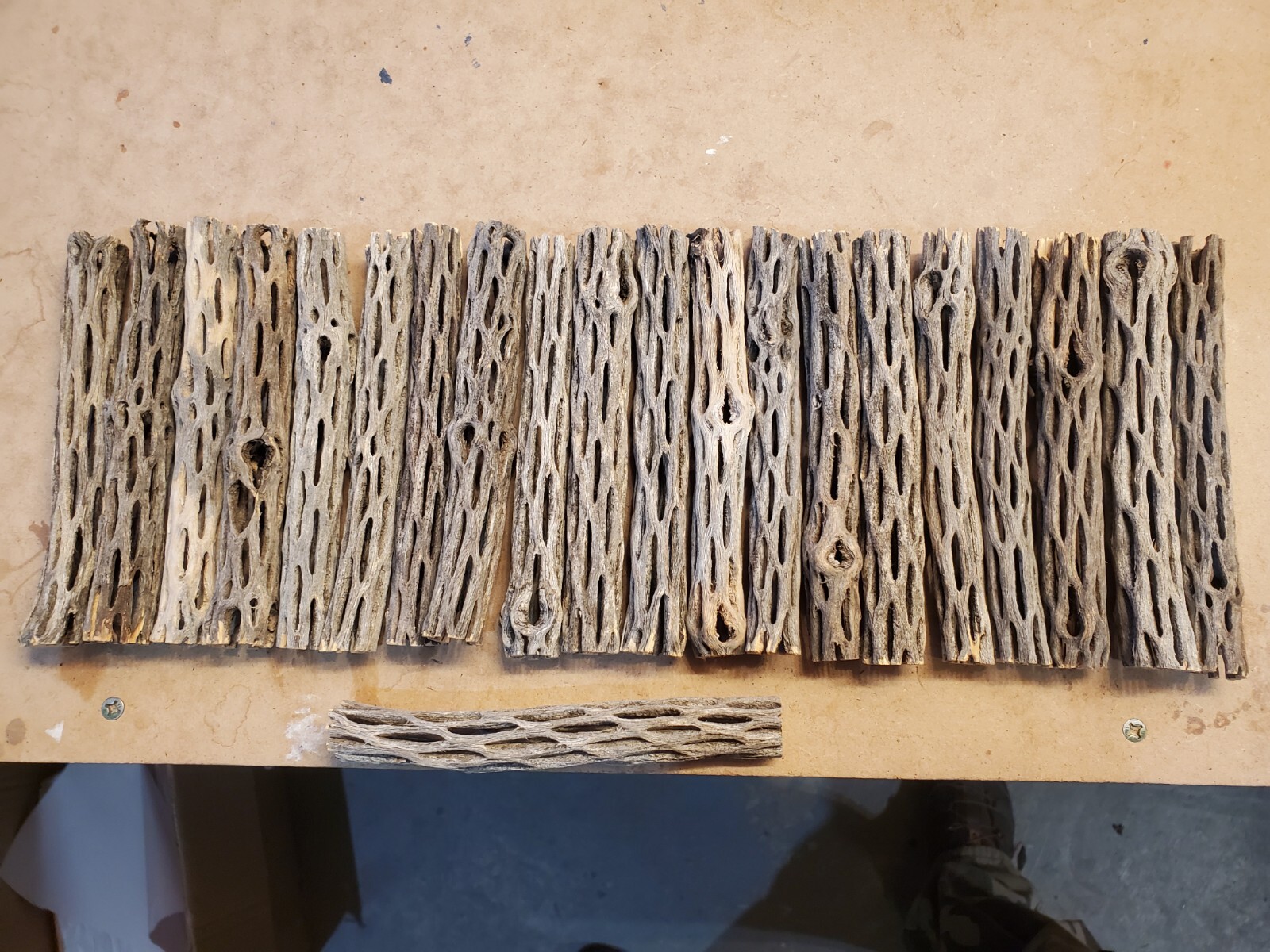 20 pcs 6" inch CHOLLA Wood Cactus | ORGANIC, Untreated | Shrimp Aquarium CRAFTS!