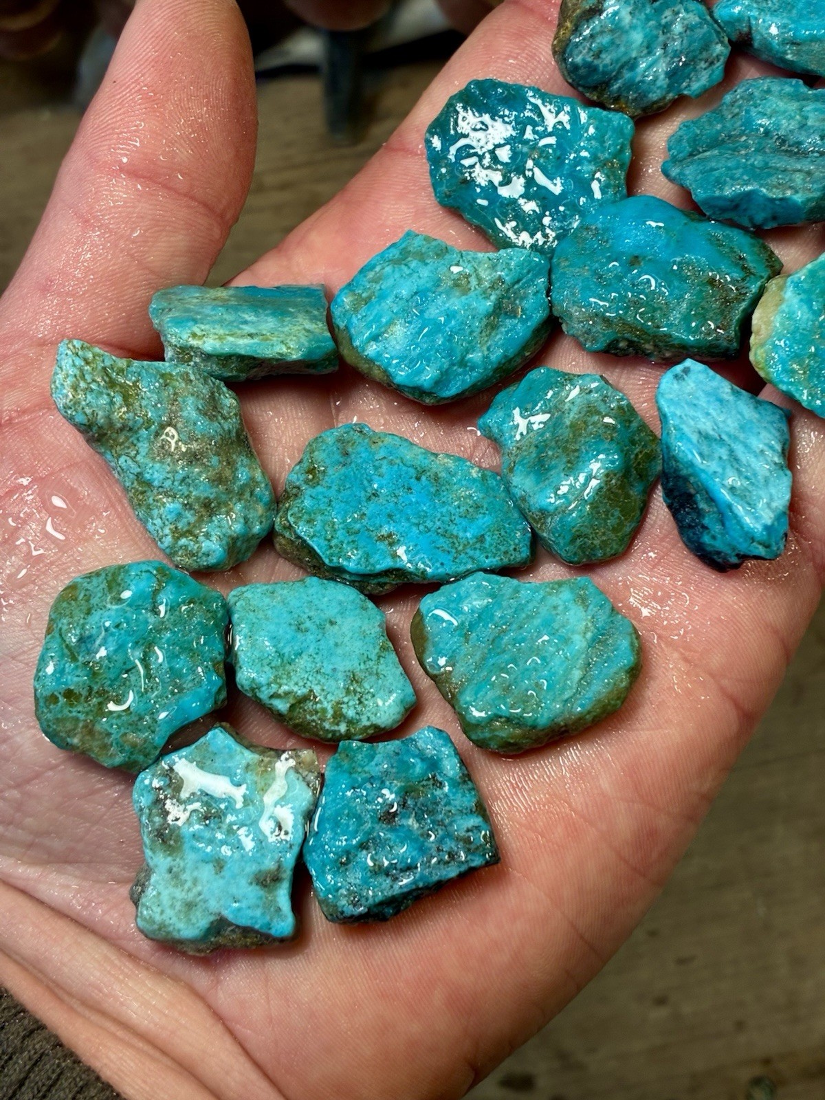 1 Lb. Ithaca Peak, Real Turquoise! Electric blues! High in matrix. ❤️‍🔥3 Left!