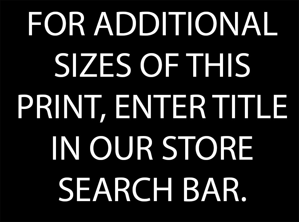 Bighorn Sheep Ram 8"x10" Photograph Print 8x10 #2