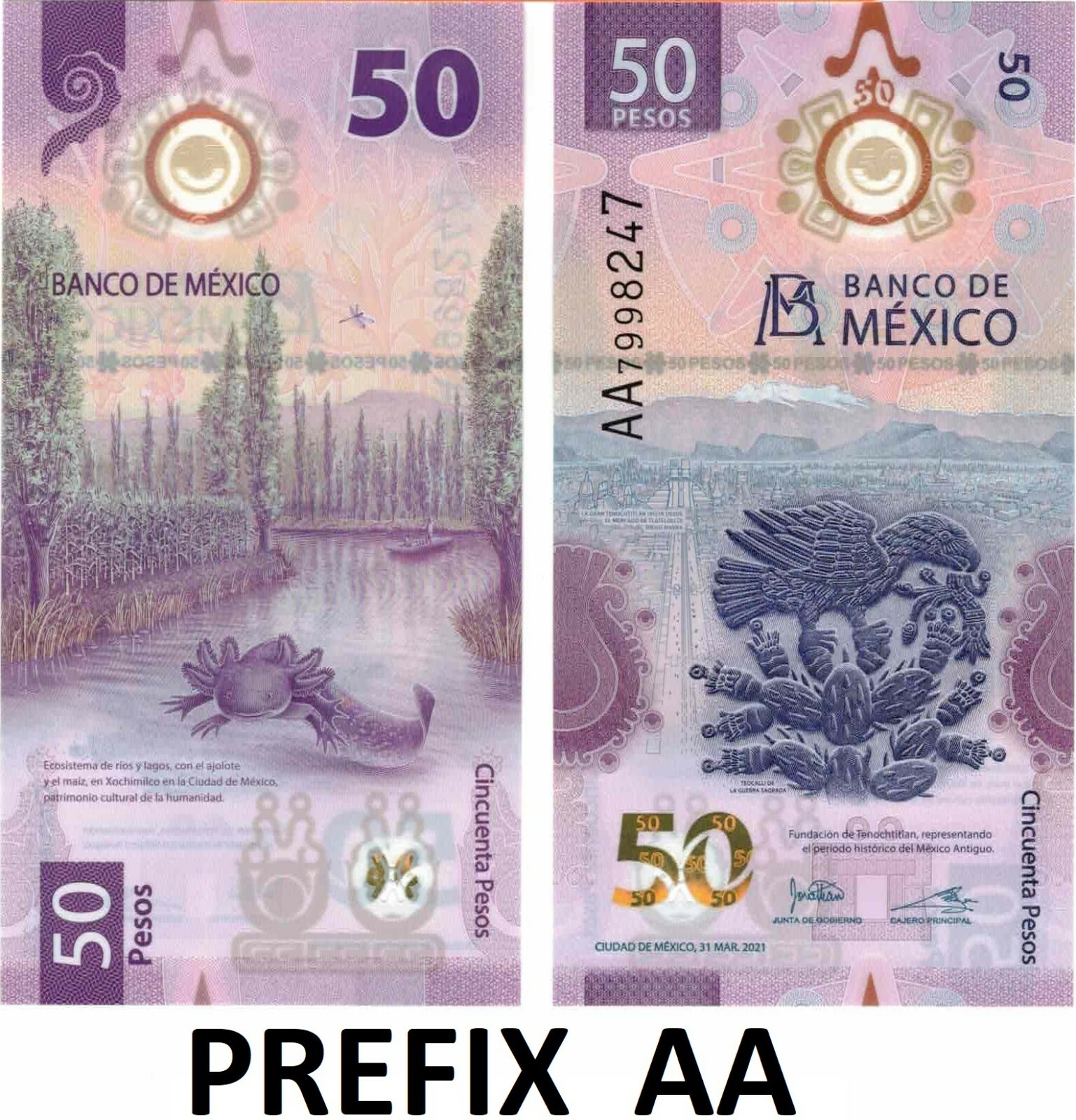 50 PESOS BILL MEXICO AXOLOTL BILLETE UNCIRCULATED - PREFIX AA -  FREE SHIPPING