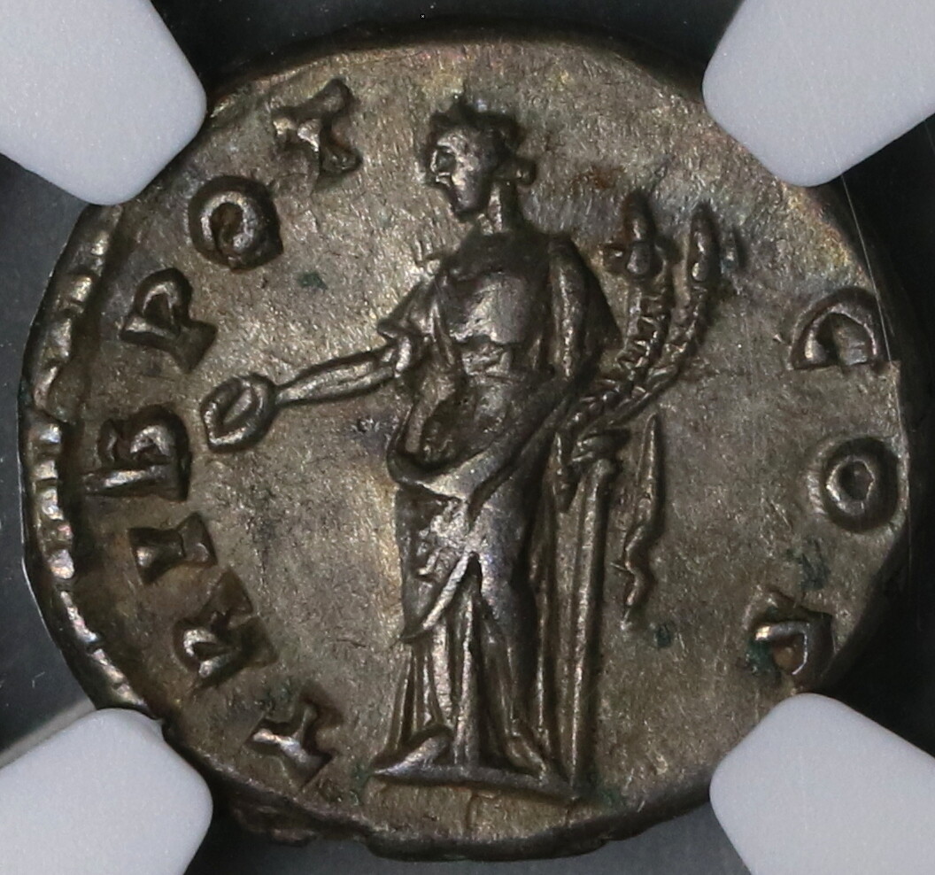 138 NGC XF Caesar Antoninus Pius Roman Empire Denarius Rare Concordia (19063005C