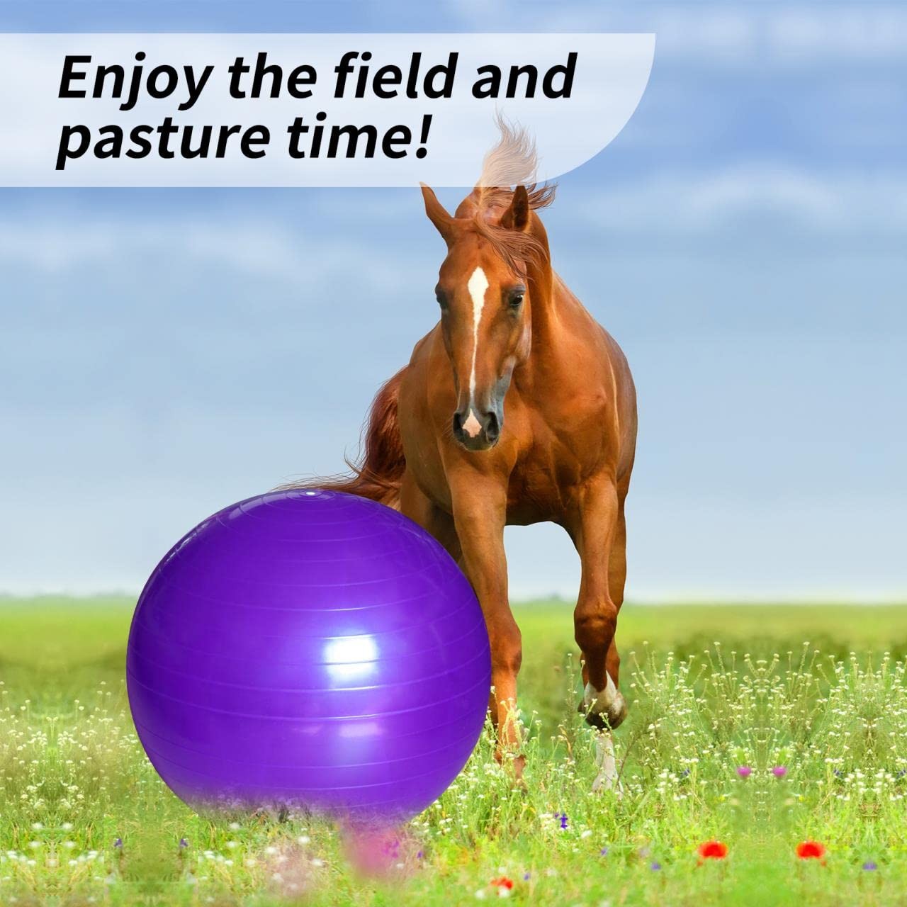 Horse Play Balls 30 Inch Mega Equine Ball for Play Training Horse Soccer Ball...