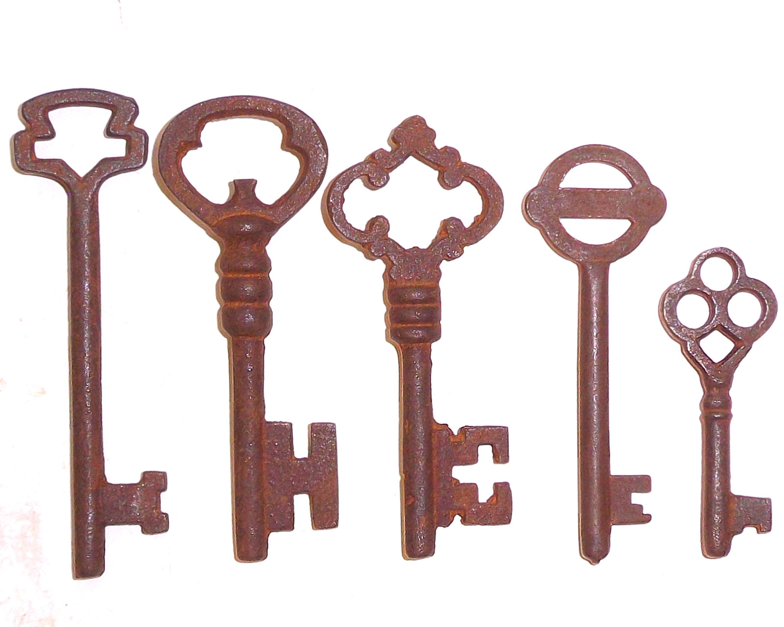 Skeleton Iron Keys Lot of 25 Steampunk