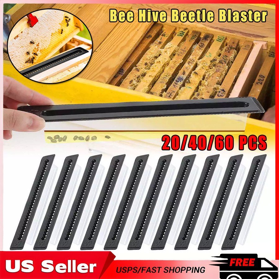 20/40/60×Black Small Bee Hive Beetle Blaster BeeHive Beetle Trap Beekeeping Tool