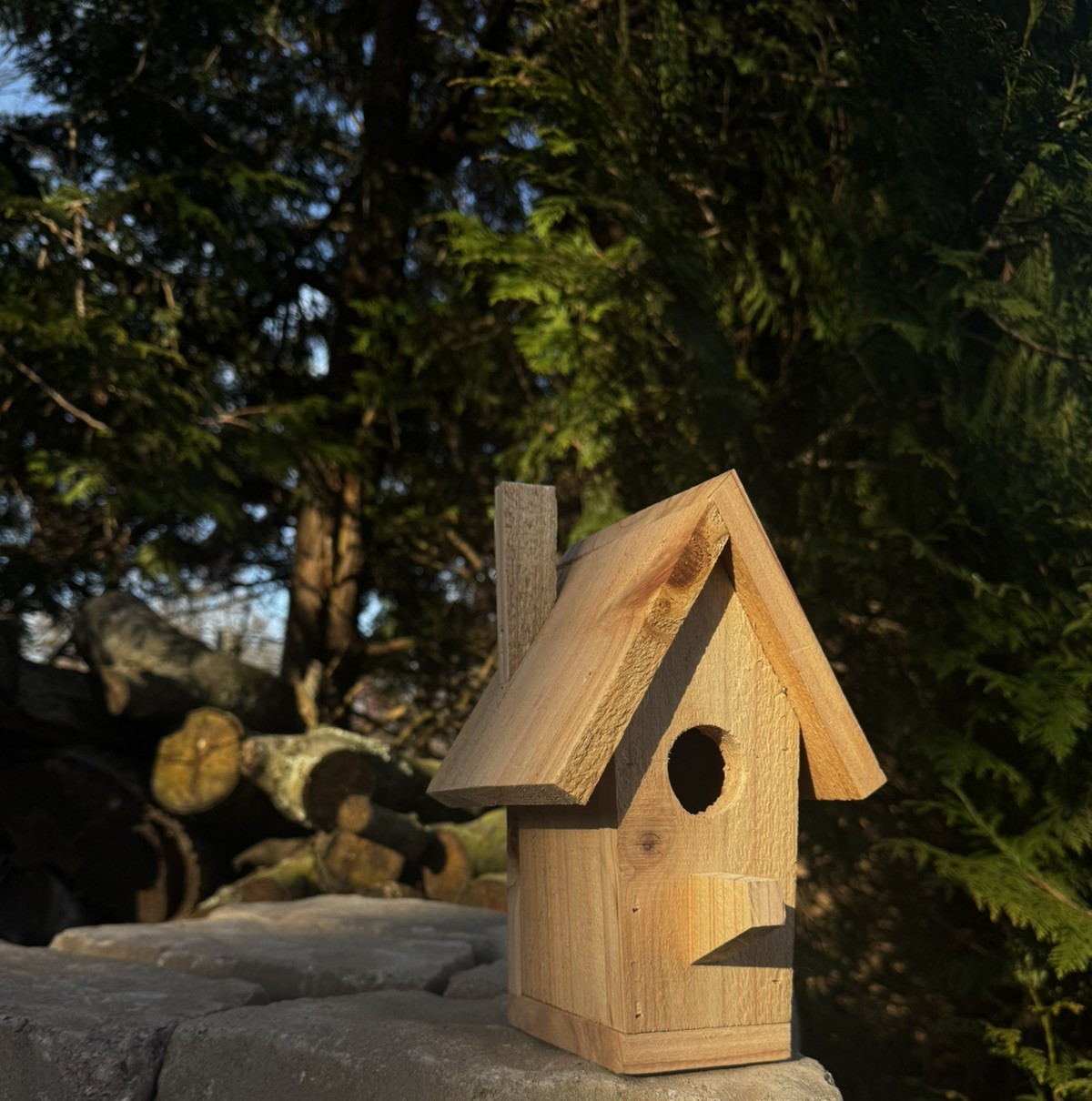 Handmade Cedar Birdhouse w/ Chimney Rustic Outdoor Wren Chickadee Nest Box