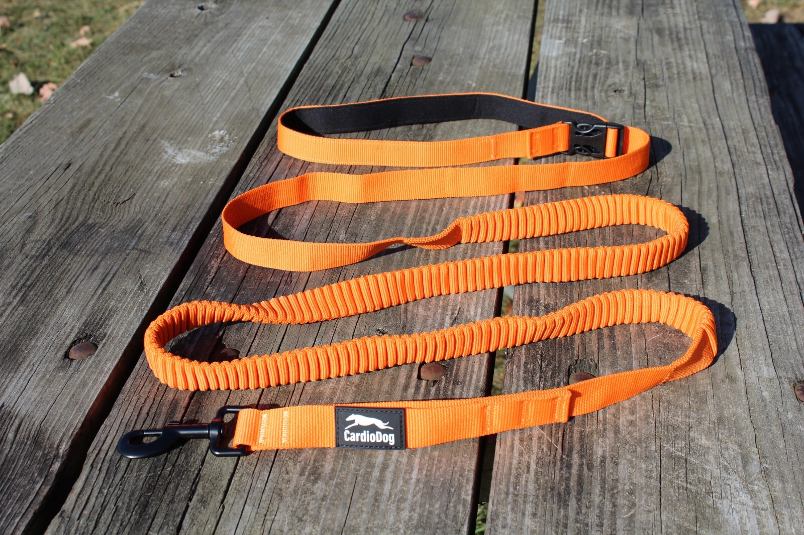 Hands Free Running Walking Dog Leash/Lead Bungee Orange Stretch