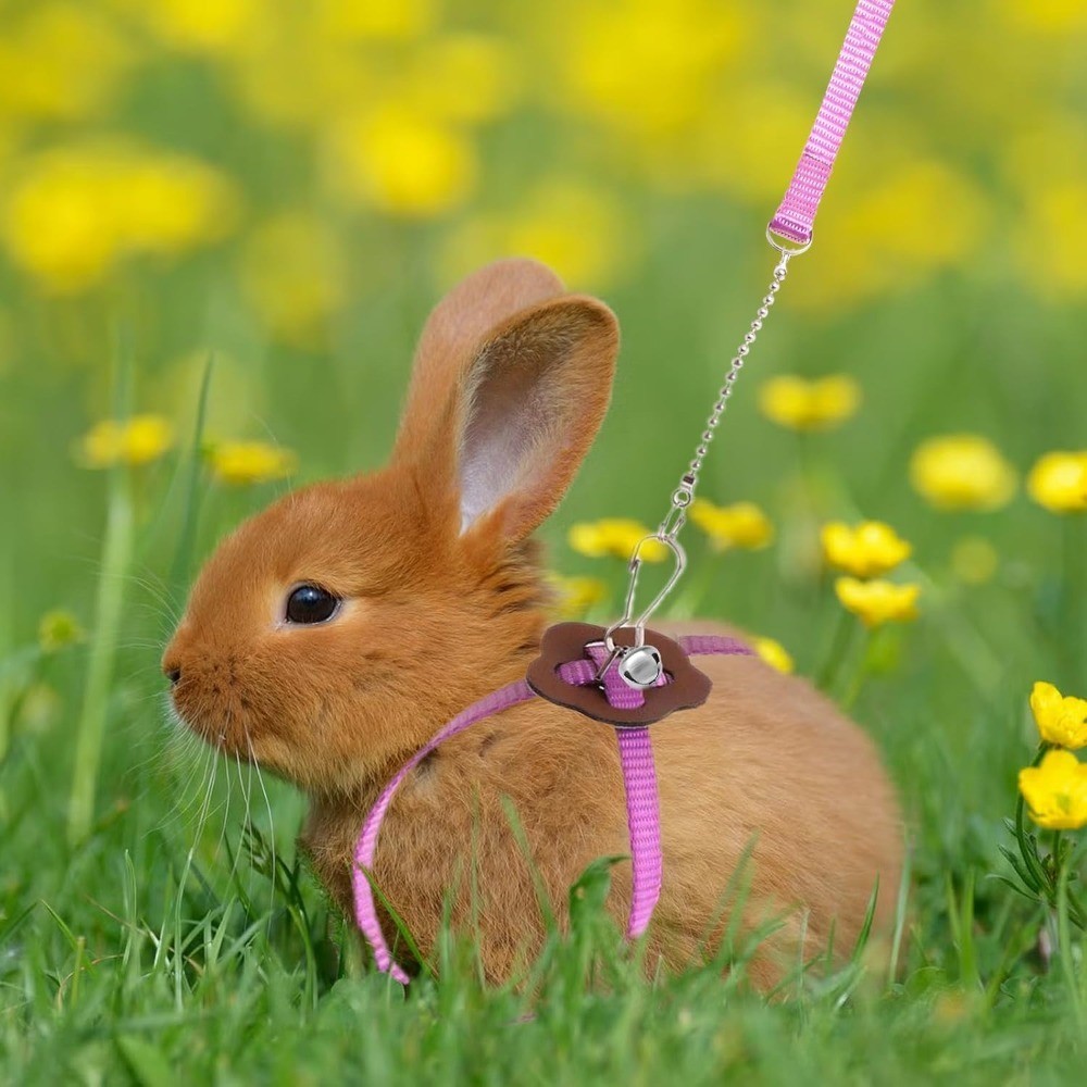 Adjustable Hamster Leash Harness for Ferret Rabbit Rat Mouse Small Pet Walking