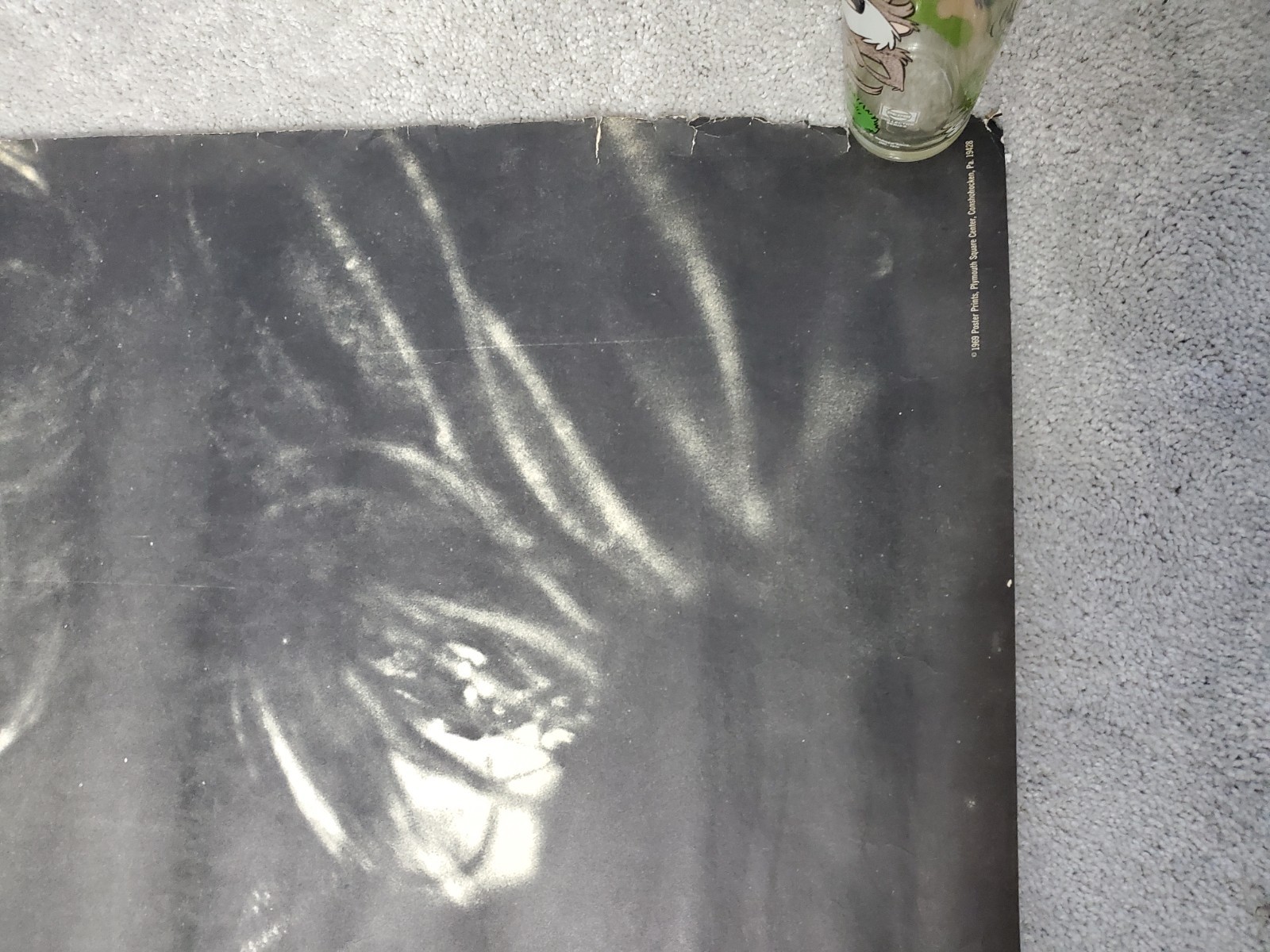 Original 1969 Janis Joplin 30x41 inch rolled Poster Huge Rare Portrait