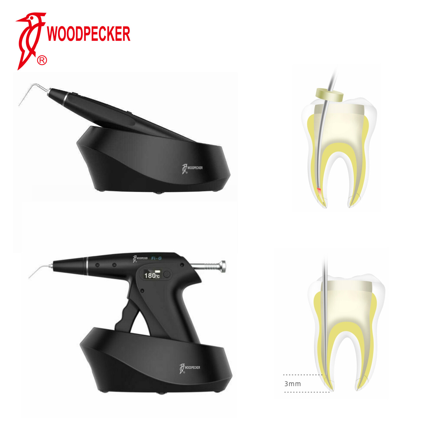Woodpecker Dental Endodontic Gutta Percha Obturation System Gun & Heated Pen