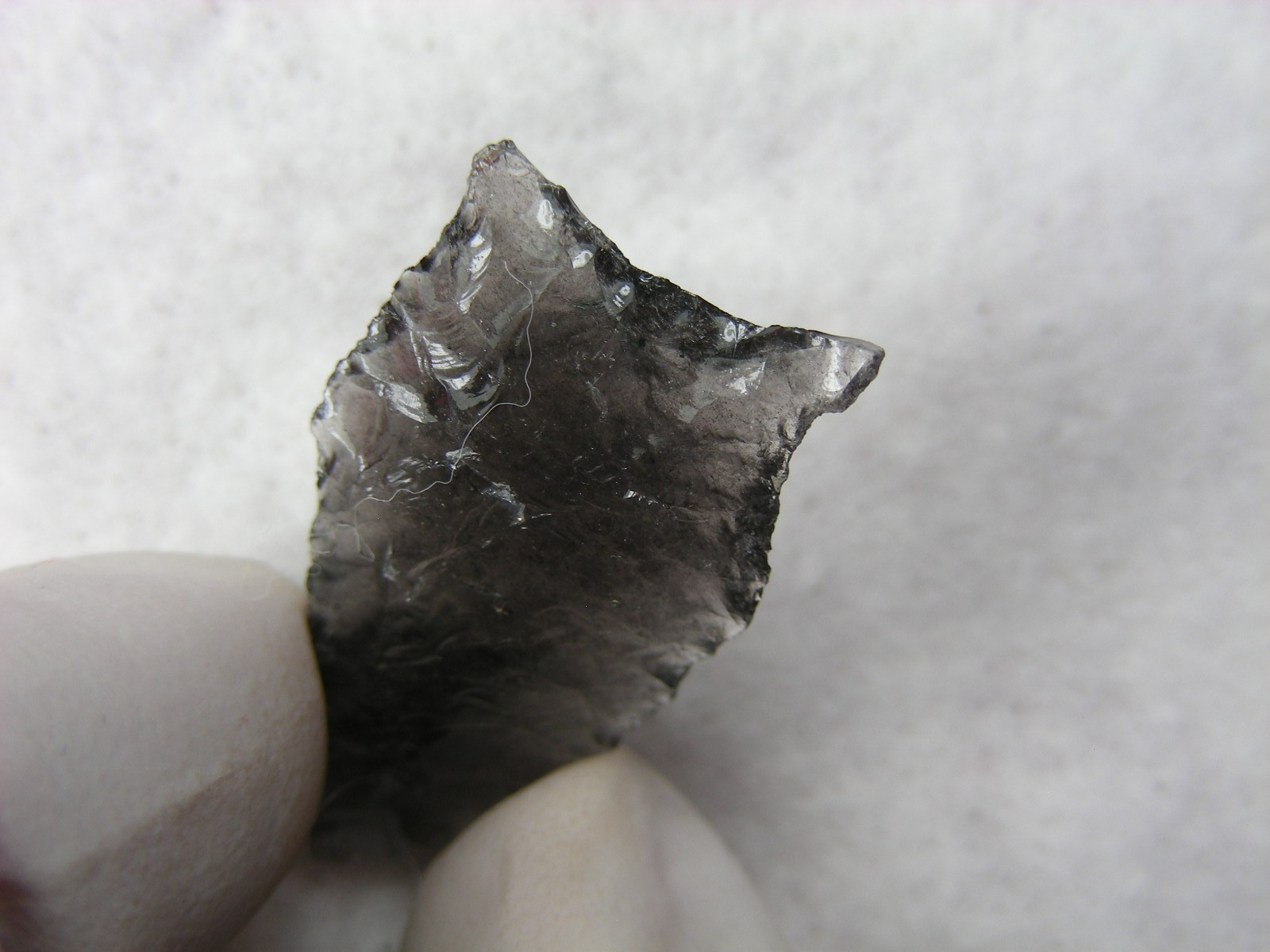 BUCHANAN EARED 1-1/4" NEVADA Authentic Indian Relics