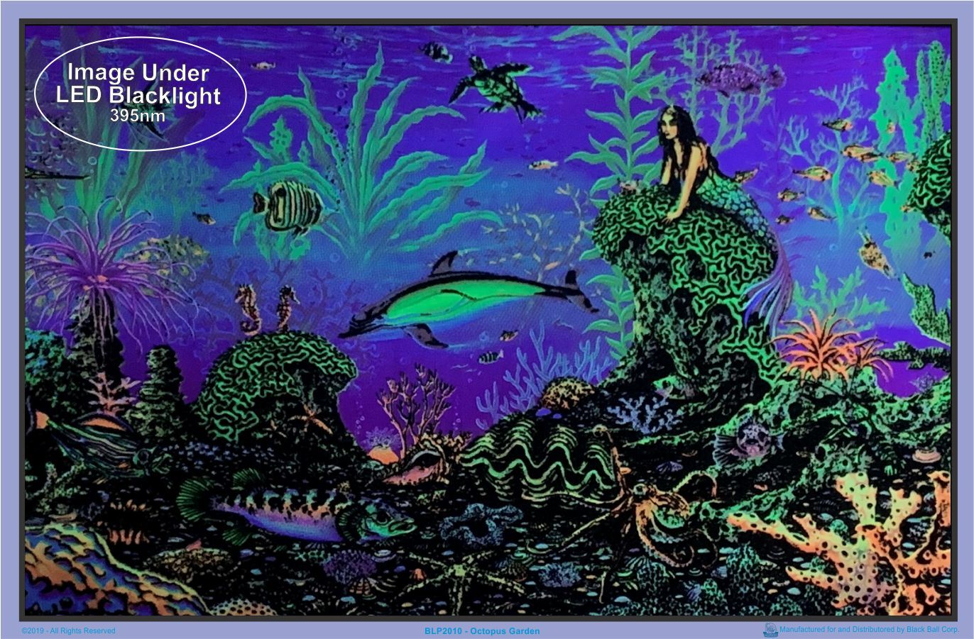 Octopus Garden by: Michael Fishel Blacklight Poster - Flocked - 35" x 23"