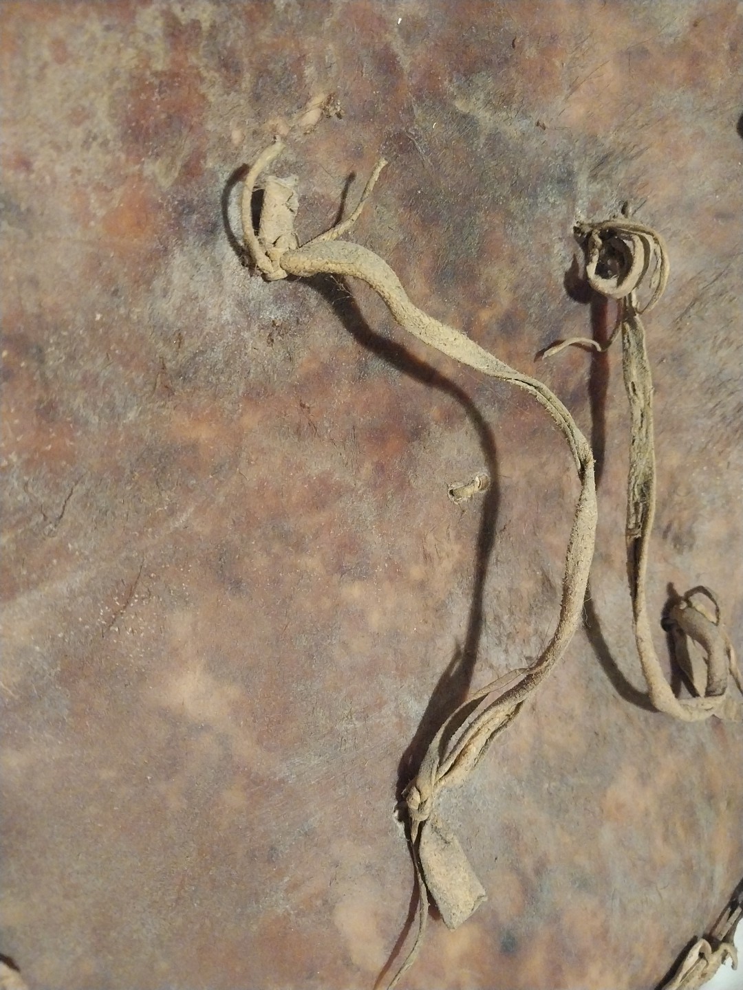 Native American Shield Plains Style Old Unsigned